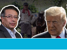 El campo colombiano en medio del fuego cruzado de Petro y Trump No es la geopolítica la que pierde: es el campesino el que paga