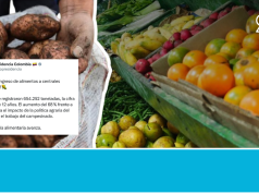 ¿Victoria contra el hambre o crisis silenciosa en el campo? Si celebramos toneladas sin mirar quién pierde con cada bulto, no estamos ganando la lucha contra el hambre, estamos cambiando de víctima.