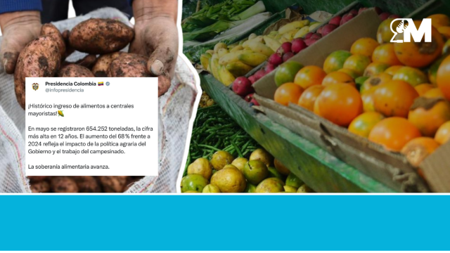 ¿Victoria contra el hambre o crisis silenciosa en el campo? Si celebramos toneladas sin mirar quién pierde con cada bulto, no estamos ganando la lucha contra el hambre, estamos cambiando de víctima.